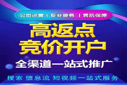 谷歌SEM案例研究：数据分析与效果评估